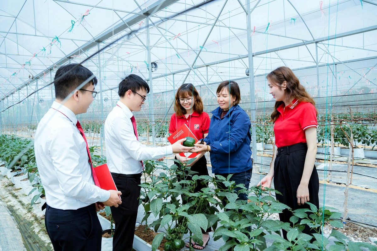 Nguồn vốn Agribank tiếp tục được định hướng vào các lĩnh vực sản xuất, kinh doanh, lĩnh vực ưu tiên và những ngành có khả năng đóng góp trực tiếp cho tăng trưởng Nguồn vốn Agribank tiếp tục được định hướng vào các lĩnh vực sản xuất, kinh doanh, lĩnh vực ưu tiên và những ngành có khả năng đóng góp trực tiếp cho tăng trưởng