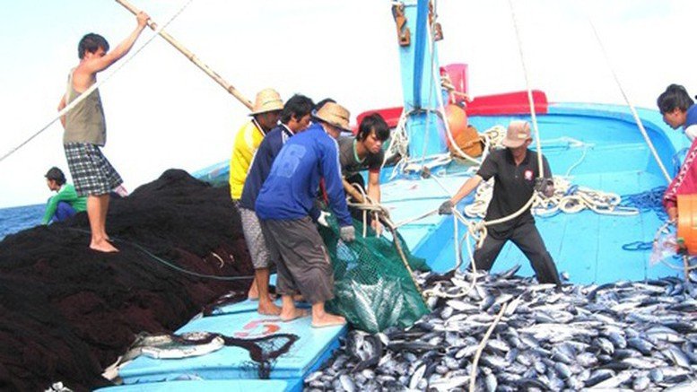Khắc phục khuyến nghị của EC về chống khai thác IUU Khắc phục khuyến nghị của EC về chống khai thác IUU