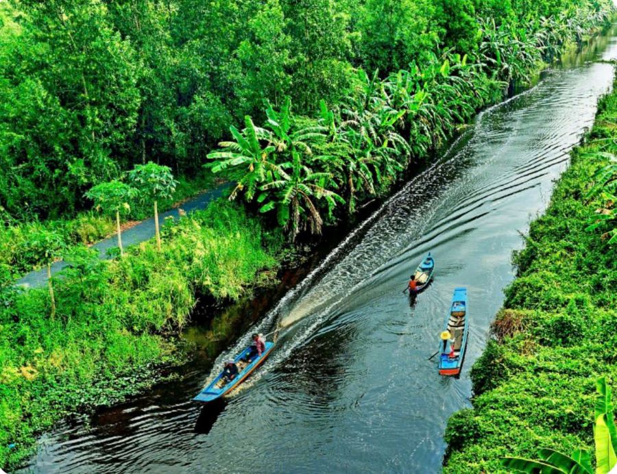 UBND tỉnh Cà Mau vừa xây dựng kế hoạch phát triển thương hiệu “Hương rừng U Minh” gắn với thực hiện thí điểm sản phẩm du lịch “Đêm U Minh huyền thoại”. UBND tỉnh Cà Mau vừa xây dựng kế hoạch phát triển thương hiệu “Hương rừng U Minh” gắn với thực hiện thí điểm sản phẩm du lịch “Đêm U Minh huyền thoại”.