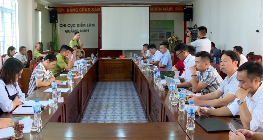 Hội thảo 