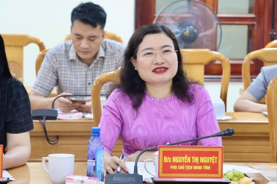Phó Chủ tịch UBND tỉnh Hà Tĩnh Nguyễn Thị Nguyệt phát biểu tại hội nghị Phó Chủ tịch UBND tỉnh Hà Tĩnh Nguyễn Thị Nguyệt phát biểu tại hội nghị