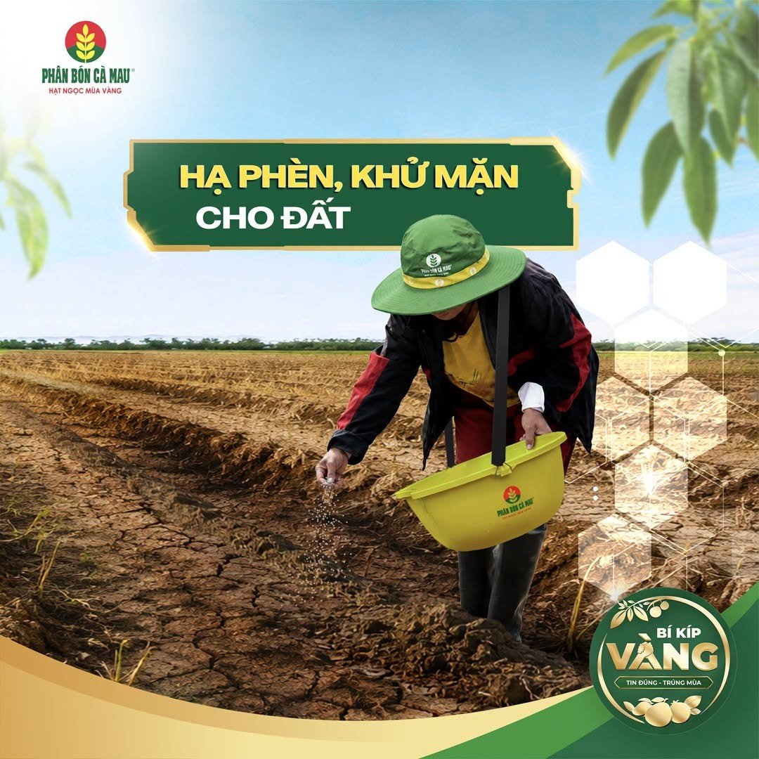 Đất nhiễm ph&egrave;n, nhiễm mặn v&agrave; những biến động bất thường của thời tiết đang tạo th&ecirc;m &aacute;p lực đối với sản xuất n&ocirc;ng nghiệp