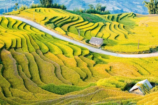 Lễ hội mùa Thu năm 2026 với chủ đề “Y Tý - Sức hút Đại ngàn” được tổ chức nhằm quảng bá vẻ đẹp mùa lúa chín, biển mây, bản sắc văn hóa các dân tộc và các sản phẩm đặc trưng của địa phương Lễ hội mùa Thu năm 2026 với chủ đề “Y Tý - Sức hút Đại ngàn” được tổ chức nhằm quảng bá vẻ đẹp mùa lúa chín, biển mây, bản sắc văn hóa các dân tộc và các sản phẩm đặc trưng của địa phương