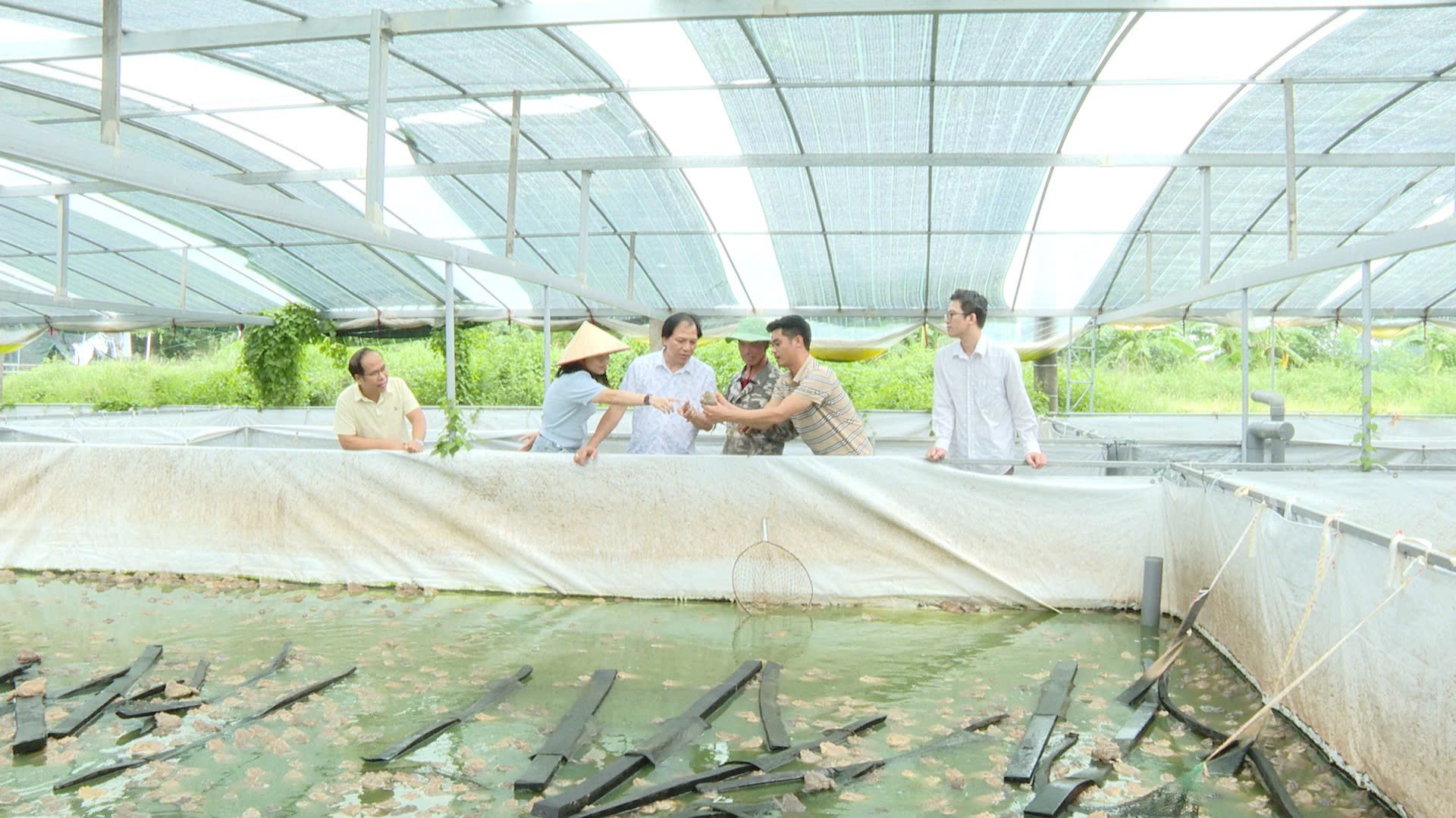Đánh giá kết quả mô hình nuôi ếch thương phẩm tại xã Thanh Oai sau 3 tháng triển khai. Đánh giá kết quả mô hình nuôi ếch thương phẩm tại xã Thanh Oai sau 3 tháng triển khai.