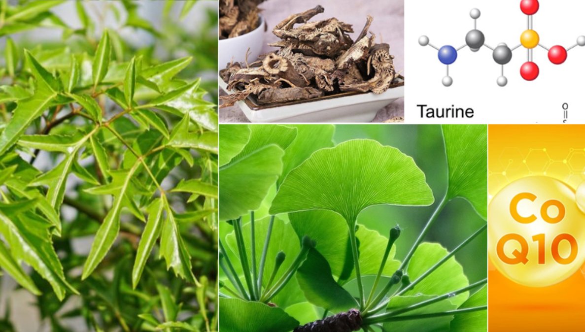 Một số thảo dược v&agrave; dưỡng chất tốt cho trẻ tăng động giảm ch&uacute; &yacute;