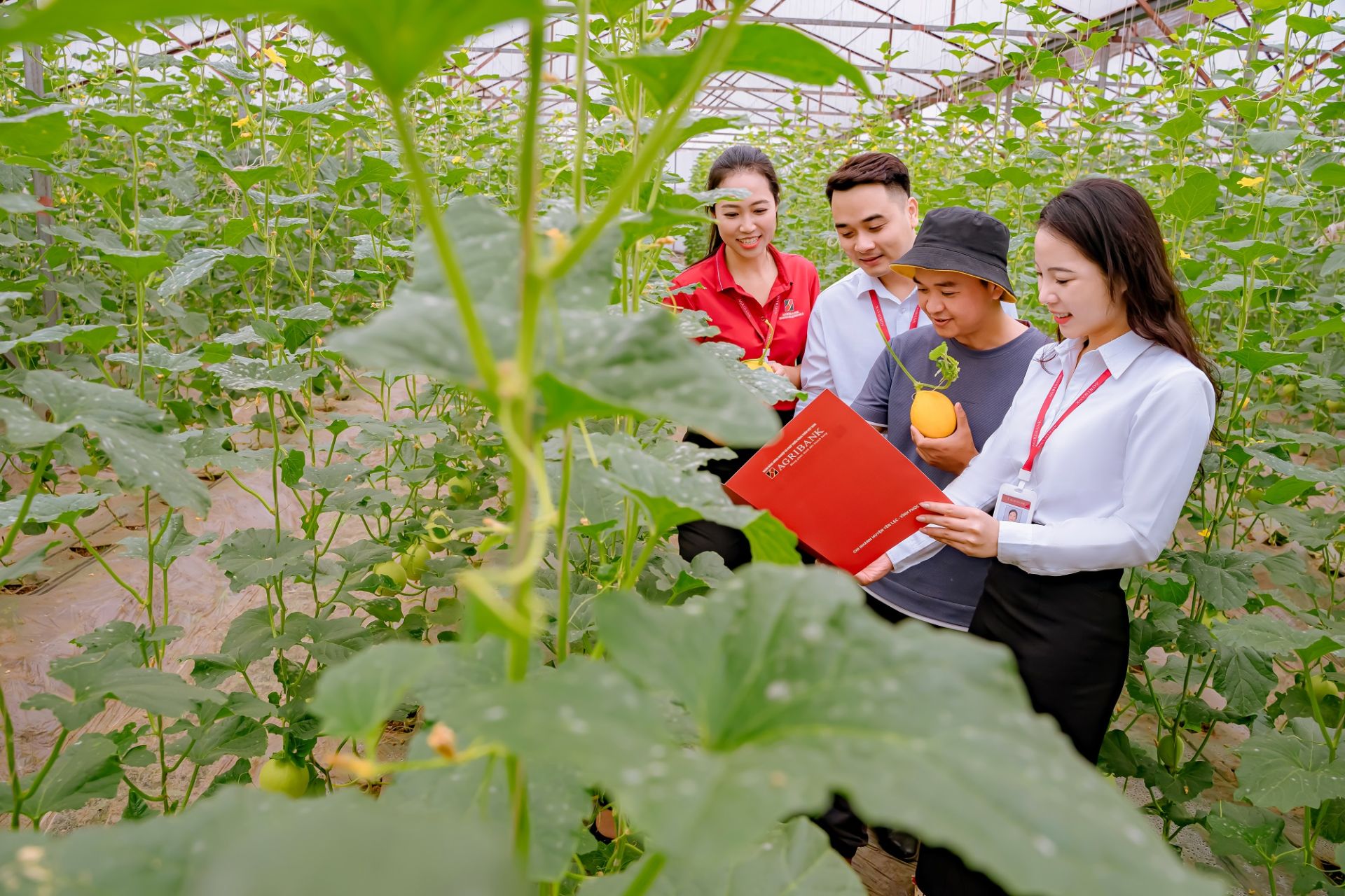 Agribank góp phần phát triển kinh tế xanh, kinh tế tuần hoàn Agribank góp phần phát triển kinh tế xanh, kinh tế tuần hoàn