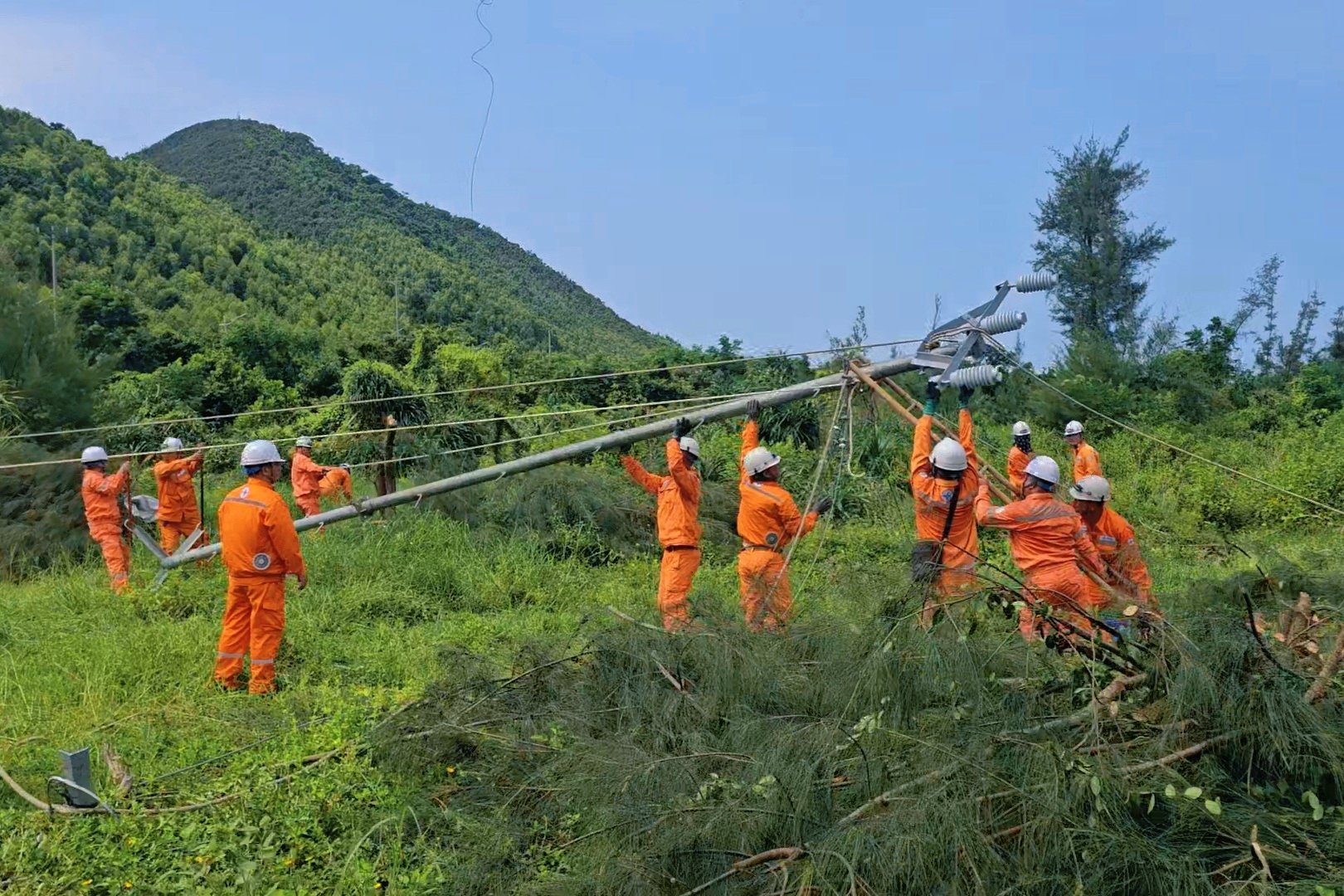 Nhân viên CTĐL Quảng Ninh xử lý tình huống giả định sự cố gãy cột 144, nghiêng cột 143, đứt dây dẫn 3 pha khoảng cột 143-144 nhánh 475 Quan Lạn Nhân viên CTĐL Quảng Ninh xử lý tình huống giả định sự cố gãy cột 144, nghiêng cột 143, đứt dây dẫn 3 pha khoảng cột 143-144 nhánh 475 Quan Lạn