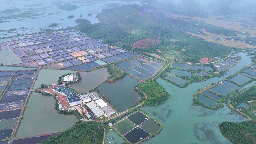Dự &aacute;n Trung t&acirc;m ương giống, nu&ocirc;i trồng thuỷ sản c&ocirc;ng nghiệp kết hợp Nh&agrave; m&aacute;y điện mặt trời Đầm H&agrave; c&ocirc;ng suất 100MW được khởi c&ocirc;ng th&aacute;ng 12/2025