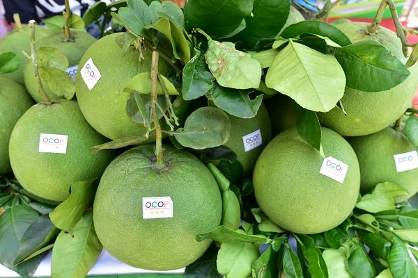 Bưởi Da xanh đạt chứng nhận OCOP của xã Đông Khánh Sơn trưng bày tại “Không gian Văn hóa – Chợ phiên Đông Khánh Sơn” tháng 8 năm 2026. Bưởi Da xanh đạt chứng nhận OCOP của xã Đông Khánh Sơn trưng bày tại “Không gian Văn hóa – Chợ phiên Đông Khánh Sơn” tháng 8 năm 2026.