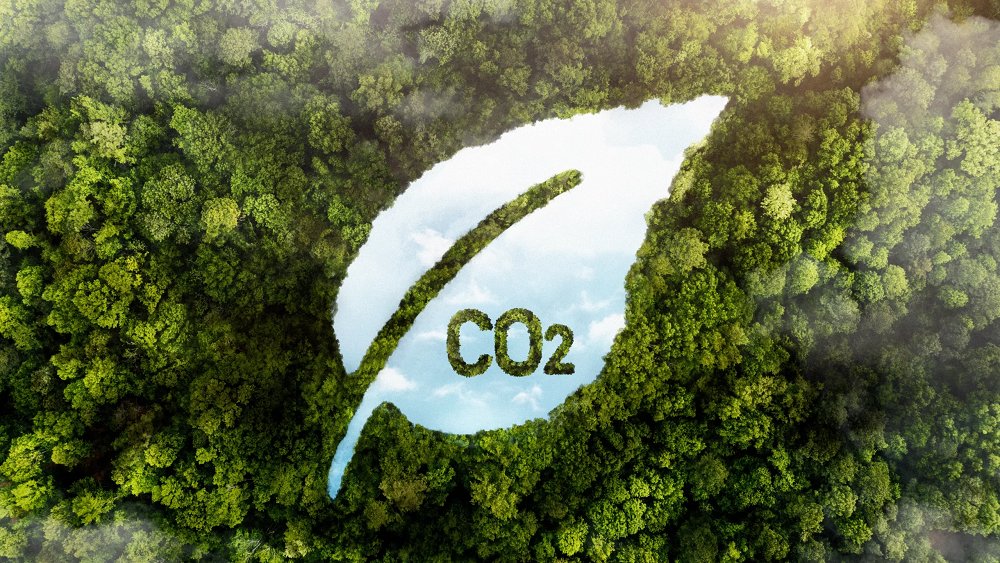 Việt Nam hướng tới xây dựng thị trường carbon minh bạch, hiệu quả và từng bước hội nhập quốc tế. Việt Nam hướng tới xây dựng thị trường carbon minh bạch, hiệu quả và từng bước hội nhập quốc tế.