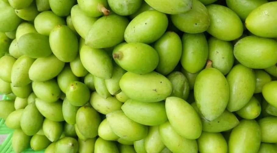 Quả trám được nhiều người tìm mua để chế biến món ăn nhờ vị béo, bùi đặc trưng. Quả trám được nhiều người tìm mua để chế biến món ăn nhờ vị béo, bùi đặc trưng.