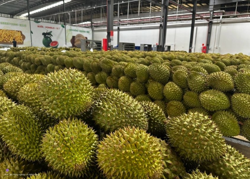 Ảnh minh họa Ảnh minh họa
