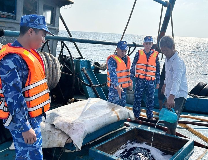Lực lượng chức năng kiểm tra hàng hóa trên phương tiện vận tải Lực lượng chức năng kiểm tra hàng hóa trên phương tiện vận tải