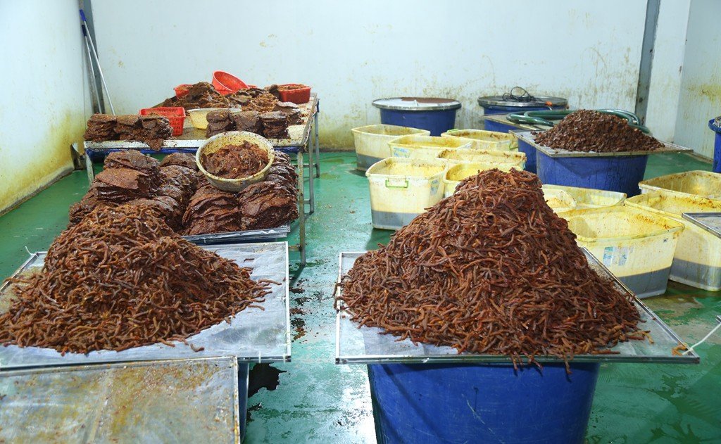 Số nguyên liệu đang được chế biến. Ảnh: Công an TP Đồng Nai Số nguyên liệu đang được chế biến. Ảnh: Công an TP Đồng Nai