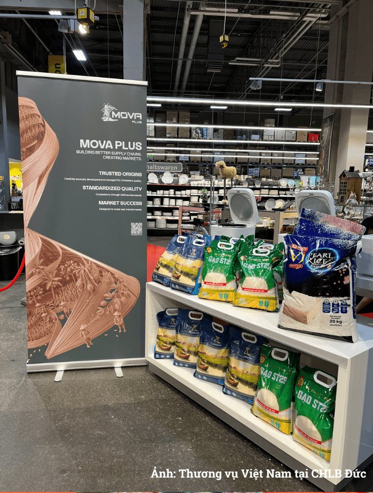 Gạo ST25 của Việt Nam được giới thiệu tại Selgros Berlin Gạo ST25 của Việt Nam được giới thiệu tại Selgros Berlin