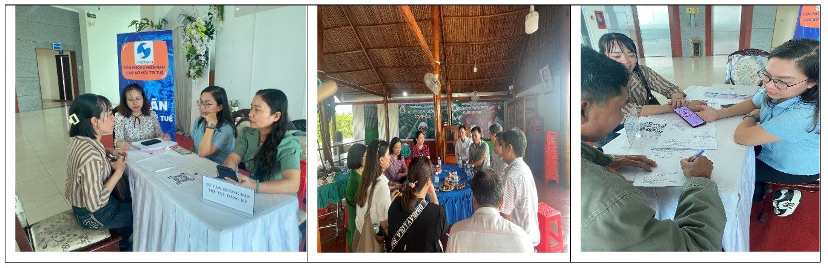 Tư vấn cho các chủ thể tại thành phố Cần Thơ Tư vấn cho các chủ thể tại thành phố Cần Thơ