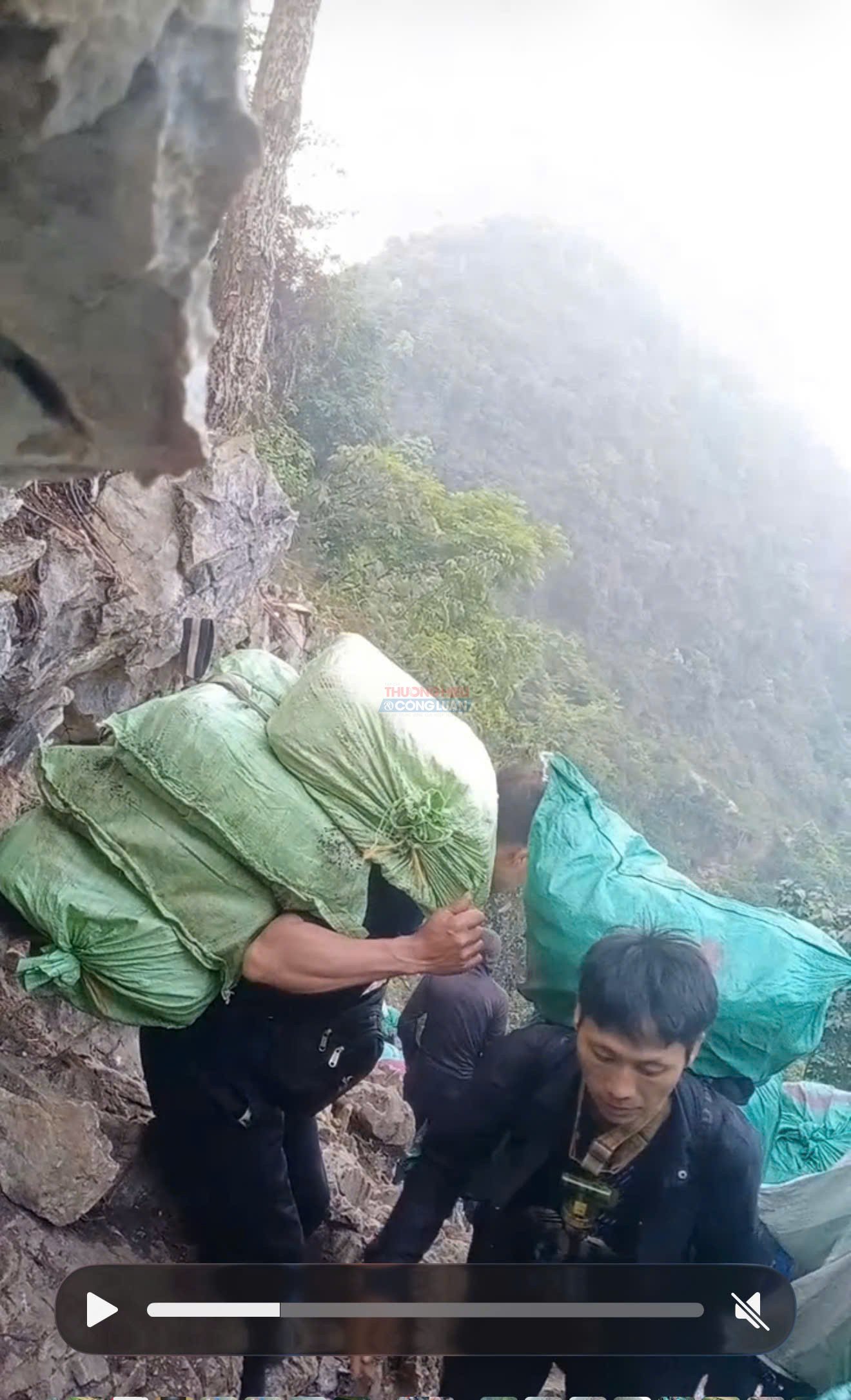 Do đường xa hơn và địa hình hiểm trở hơn nên giá công mang vác hàng mỗi bao hàng qua mốc 706 khá cao tầm 350.000-400.000 đồng/ mỗi bao hàng. Do đường xa hơn và địa hình hiểm trở hơn nên giá công mang vác hàng mỗi bao hàng qua mốc 706 khá cao tầm 350.000-400.000 đồng/ mỗi bao hàng.