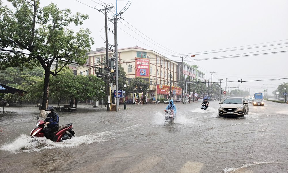 chủ động triển khai phương án ứng phó, hạn chế thấp nhất thiệt hại do mưa lớn, ngập lụt, lũ quét và sạt lở đất gây ra. chủ động triển khai phương án ứng phó, hạn chế thấp nhất thiệt hại do mưa lớn, ngập lụt, lũ quét và sạt lở đất gây ra.