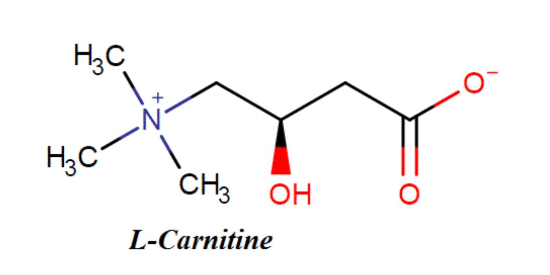 L-Carnitine fumarate giúp tái tạo da, ngăn mề đay, dị ứng tái phát L-Carnitine fumarate giúp tái tạo da, ngăn mề đay, dị ứng tái phát