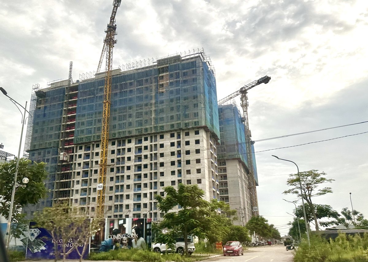Ảnh minh họa Ảnh minh họa