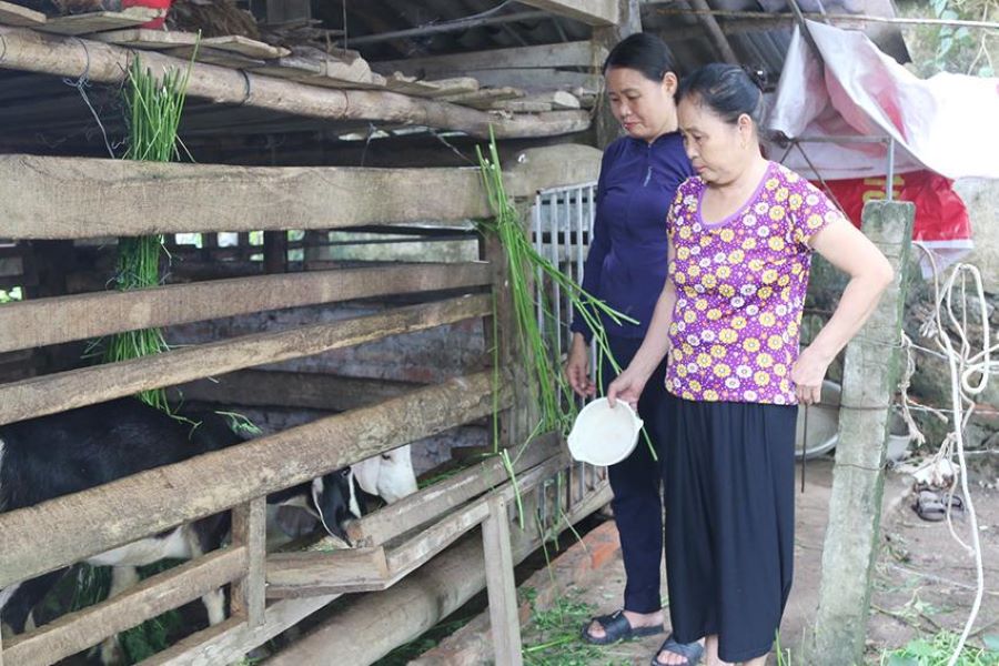 Mô hình sinh kế góp phần giúp người dân giảm nghèo bền vững Mô hình sinh kế góp phần giúp người dân giảm nghèo bền vững
