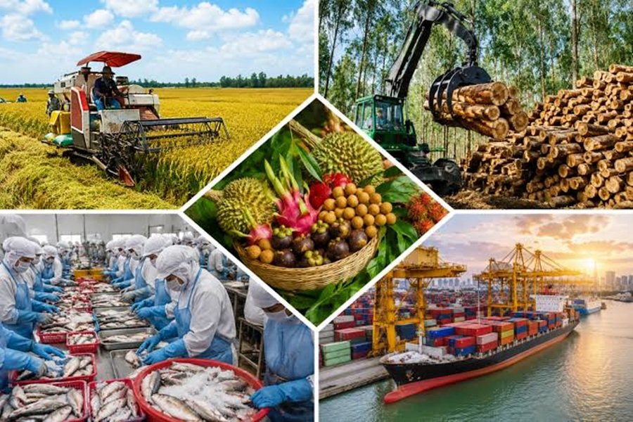 Xuất khẩu n&ocirc;ng, l&acirc;m, thủy sản đạt gần 42,8 tỷ USD trong 7 th&aacute;ng đầu năm 2026, tạo mức xuất si&ecirc;u 11,67 tỷ USD, g&oacute;p phần quan trọng c&acirc;n đối c&aacute;n c&acirc;n thương mại. Ảnh minh họa