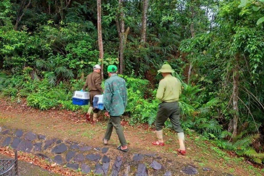 Di chuyển các cá thể động vật đến địa điểm tái thả Di chuyển các cá thể động vật đến địa điểm tái thả