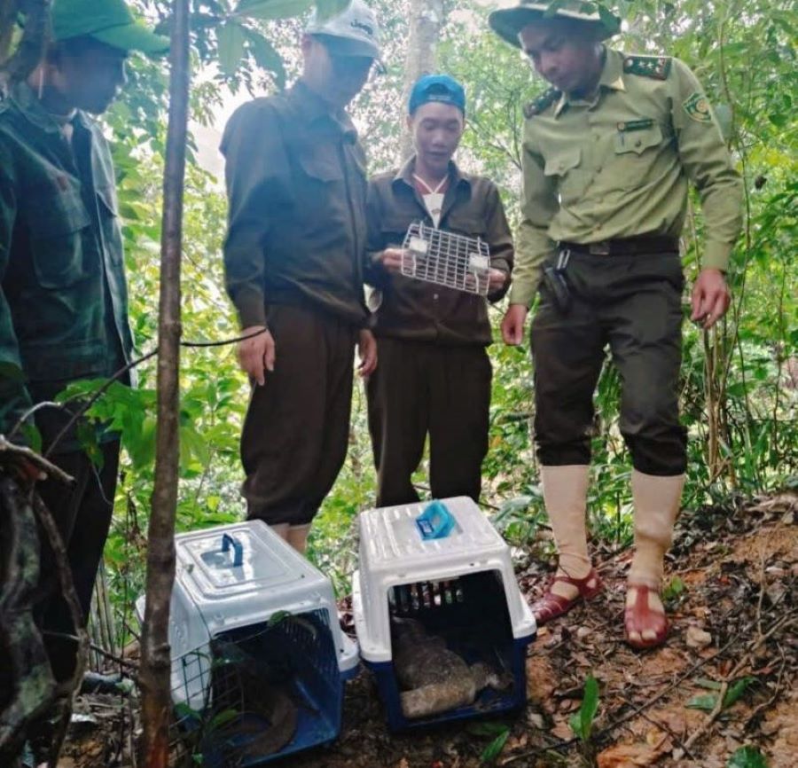 Hạt Kiểm lâm Phong Nha giám sát, chứng kiến hoạt động tái thả Hạt Kiểm lâm Phong Nha giám sát, chứng kiến hoạt động tái thả