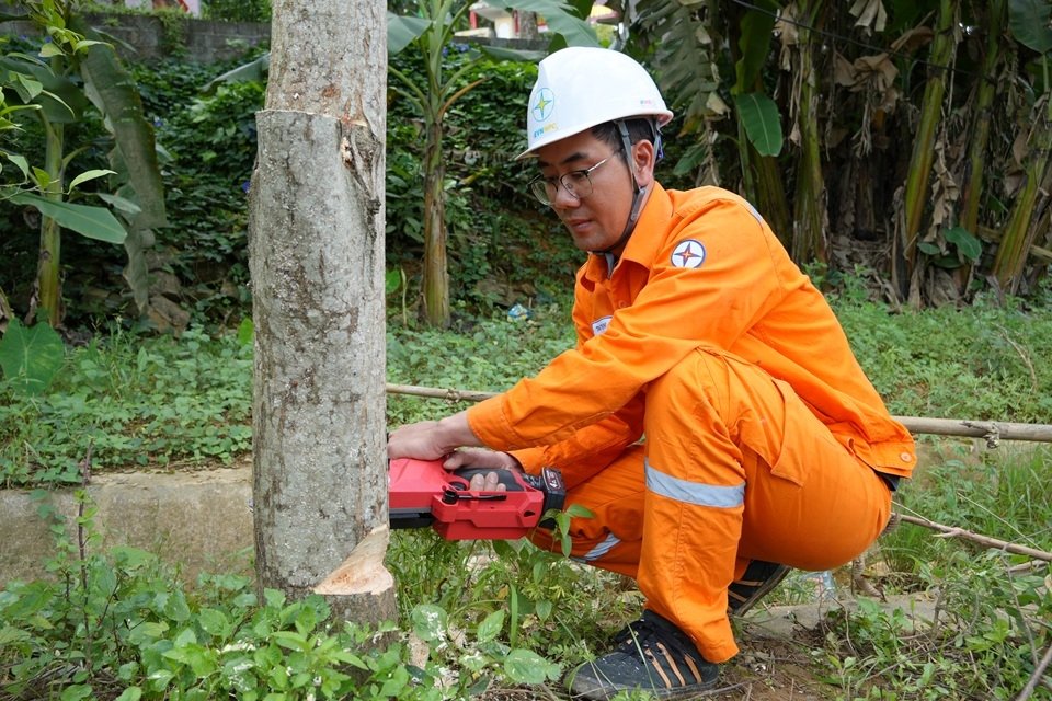 Nh&acirc;n vi&ecirc;n Điện lực chủ động ph&aacute;t hiện, xử l&yacute; c&acirc;y c&oacute; nguy cơ ảnh hưởng đến h&agrave;nh lang an to&agrave;n lưới điện
