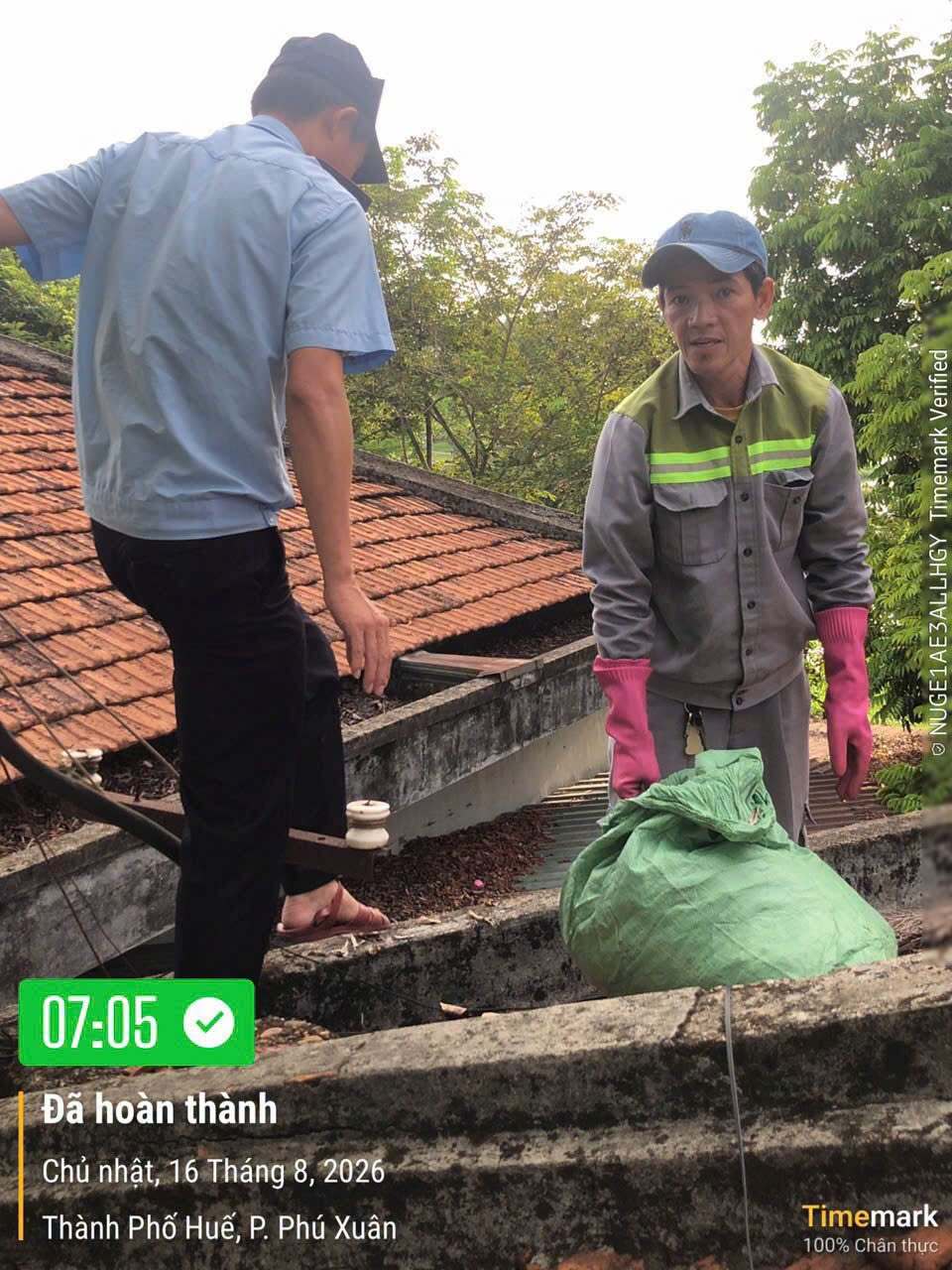 Tổ chức Ng&agrave;y chủ nhật xanhh l&agrave;m xanh m&aacute;t chợ