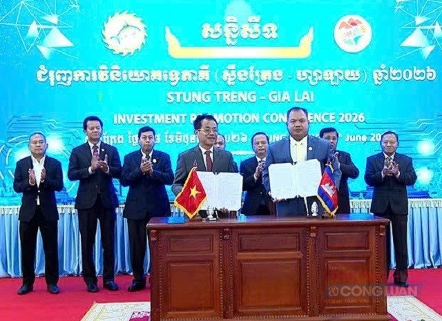 &Ocirc;ng Nguyễn Sỹ Ho&egrave;, TGĐ C&ocirc;ng ty CP Ph&uacute; T&acirc;&igrave; (h&agrave;ng trước, b&ecirc;n tr&aacute;i) tại Lễ k&yacute; kết Bản ghi nhớ nghi&ecirc;n cứu đầu tư trồng 10.000 ha rừng gỗ lớn ở Stung Treng &ndash; Campuchia. Ảnh: P.T&agrave;i