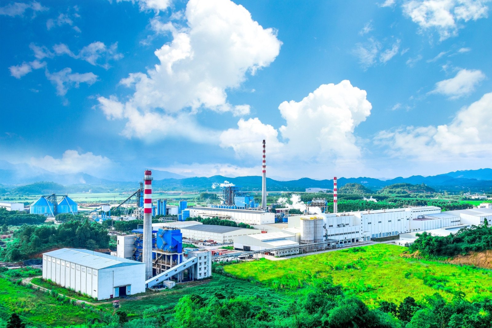 Làn sóng tiêu dùng xanh không còn là một cuộc dạo chơi hay khẩu hiệu mang tính tự nguyện, mà đã trở thành ranh giới sinh tồn của mọi doanh nghiệp. Ảnh minh hoạ (Internet) Làn sóng tiêu dùng xanh không còn là một cuộc dạo chơi hay khẩu hiệu mang tính tự nguyện, mà đã trở thành ranh giới sinh tồn của mọi doanh nghiệp. Ảnh minh hoạ (Internet)