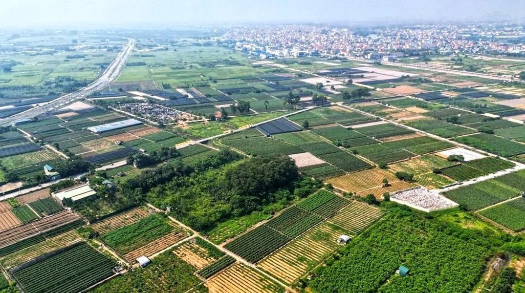 Lạc Đạo tổ chức đấu giá quyền sử dụng đất, giá khởi điểm lên tới 19,2 triệu đồng/m². (Ảnh minh họa) Lạc Đạo tổ chức đấu giá quyền sử dụng đất, giá khởi điểm lên tới 19,2 triệu đồng/m². (Ảnh minh họa)