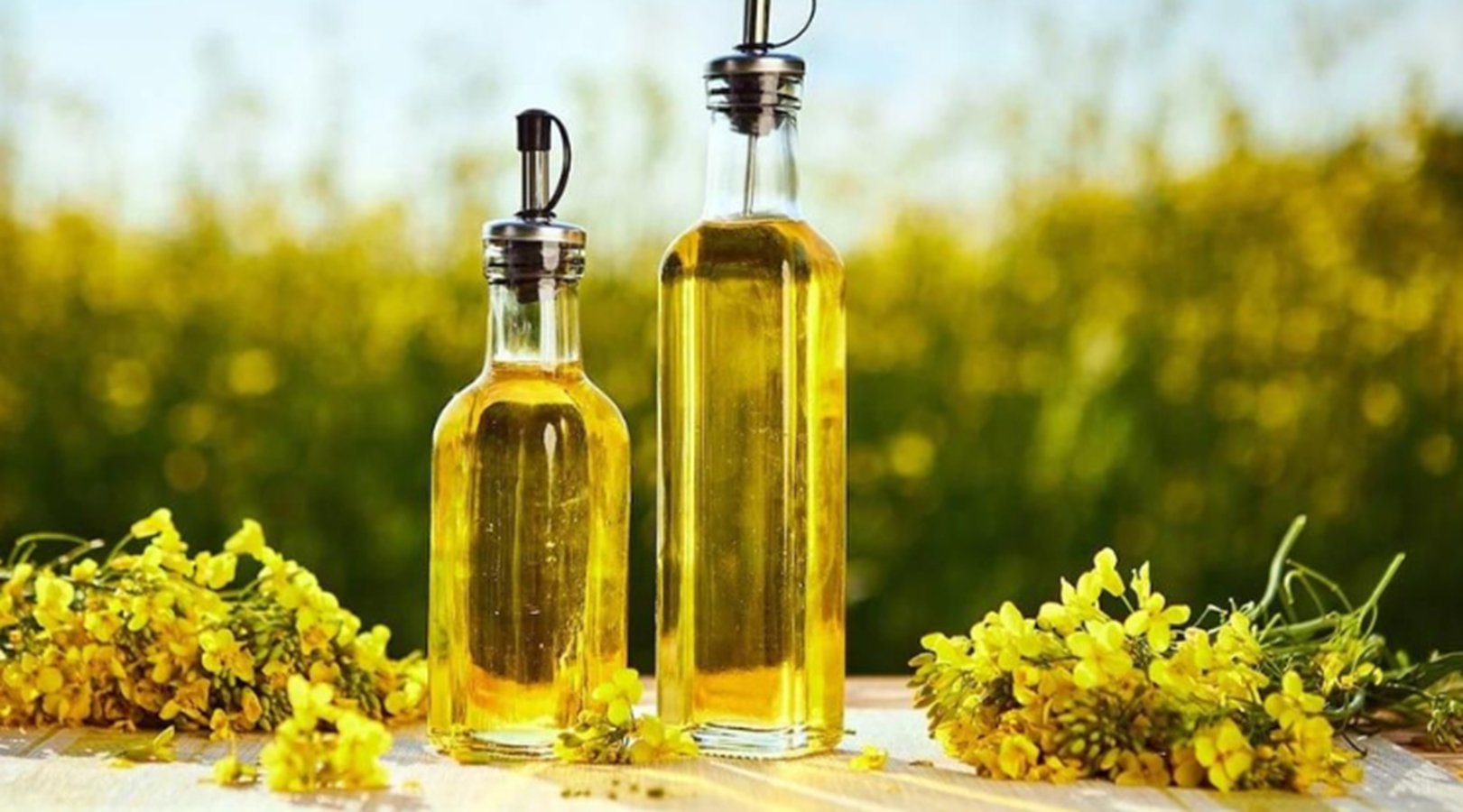 Loại dầu ăn được c&aacute;c b&aacute;c sĩ ung bướu Mỹ thường xuy&ecirc;n sử dụng