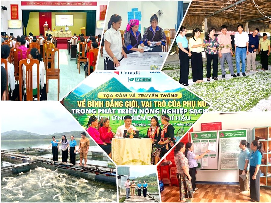 Lào Cai phấn đấu khoảng 80% hội viên, phụ nữ được tuyên truyền, nâng cao nhận thức về chính sách phát triển kinh tế và khởi nghiệp Lào Cai phấn đấu khoảng 80% hội viên, phụ nữ được tuyên truyền, nâng cao nhận thức về chính sách phát triển kinh tế và khởi nghiệp