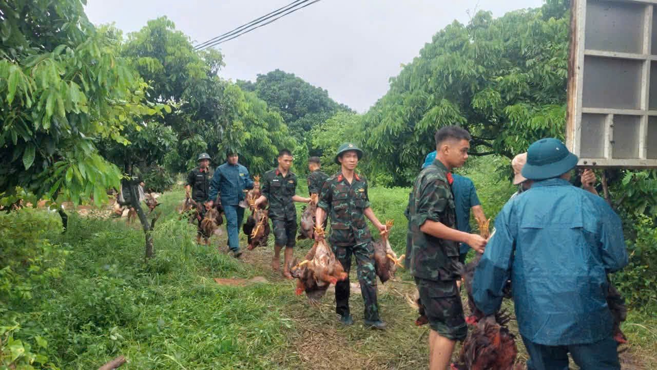 Ban Chỉ huy quân sự xã Kép huy động lực lượng giúp người dân di chuyển tài sản. Ban Chỉ huy quân sự xã Kép huy động lực lượng giúp người dân di chuyển tài sản.