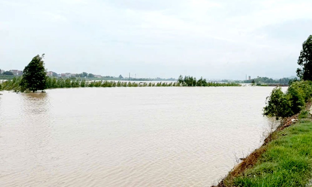 Lũ trên sông Cầu đang dâng cao. Lũ trên sông Cầu đang dâng cao.