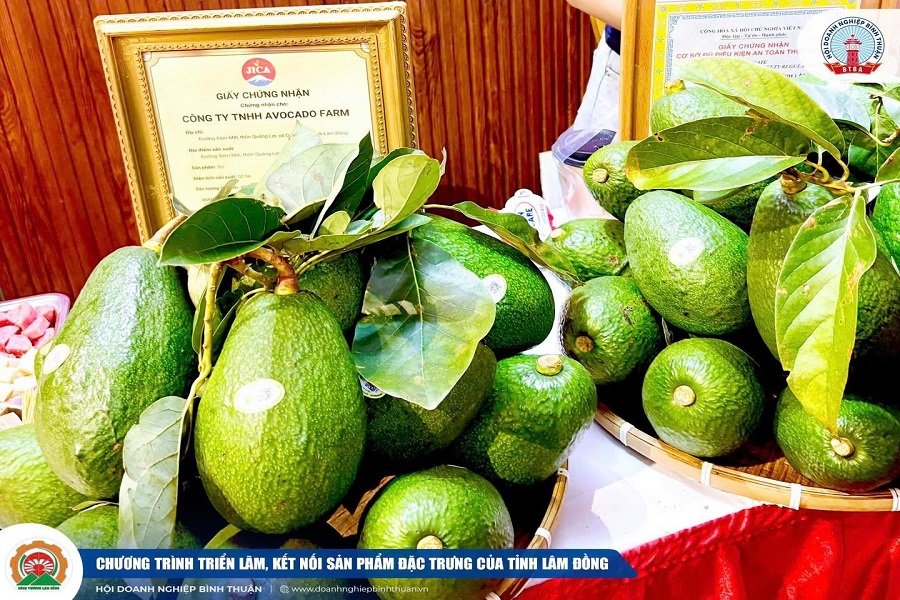 Việc kết hợp trưng b&agrave;y, quảng b&aacute;, khuyến mại v&agrave; kết nối giao thương gi&uacute;p chương tr&igrave;nh kh&ocirc;ng chỉ dừng ở việc giới thiệu sản phẩm m&agrave; hướng tới tạo đầu ra cho h&agrave;ng h&oacute;a.