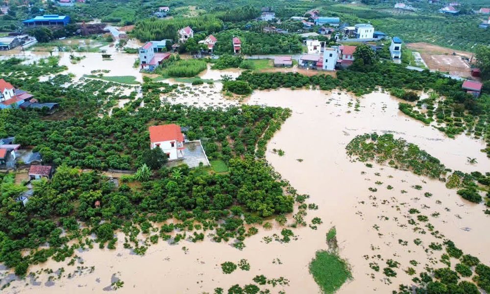 Lũ trên sông Lục Nam dâng cao gây ngập lụt nhiều khu dân cư thuộc xã Nam Dương. Lũ trên sông Lục Nam dâng cao gây ngập lụt nhiều khu dân cư thuộc xã Nam Dương.