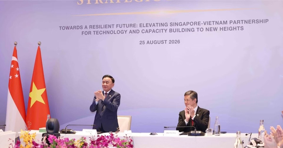 Đồng ch&iacute; Trần Cẩm T&uacute;, Ủy vi&ecirc;n Bộ Ch&iacute;nh trị, Thường trực Ban B&iacute; thư c&ugrave;ng Ph&oacute; Tổng Thư k&yacute; Đảng H&agrave;nh động Nh&acirc;n d&acirc;n Singapore, Bộ trưởng Quốc ph&ograve;ng ki&ecirc;m Bộ trưởng Điều phối dịch vụ c&ocirc;ng Chan Chun Sing đồng chủ tr&igrave; Đối thoại Chiến lược Việt Nam-Singapore lần thứ nhất. (Ảnh: TTXVN)
