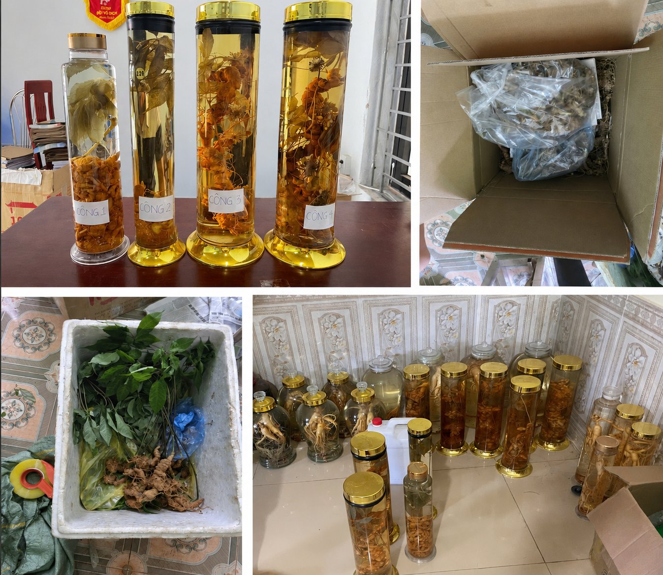 Tang vật thu được