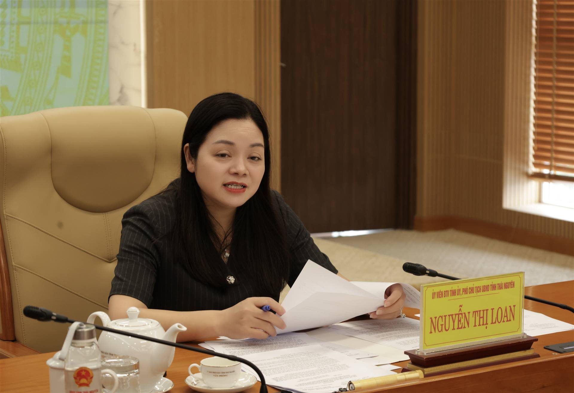 Ph&oacute; Chủ tịch UBND tỉnh Nguyễn Thị Loan