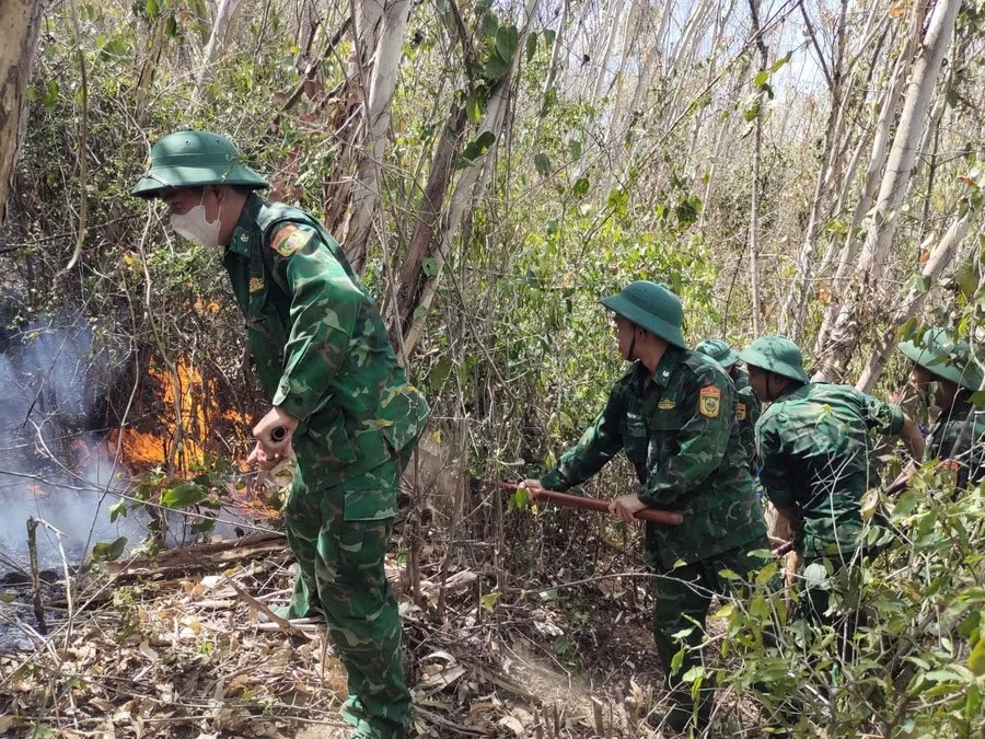 C&aacute;c lực lượng tham gia chữa ch&aacute;y. Ảnh: Thanh B&igrave;nh