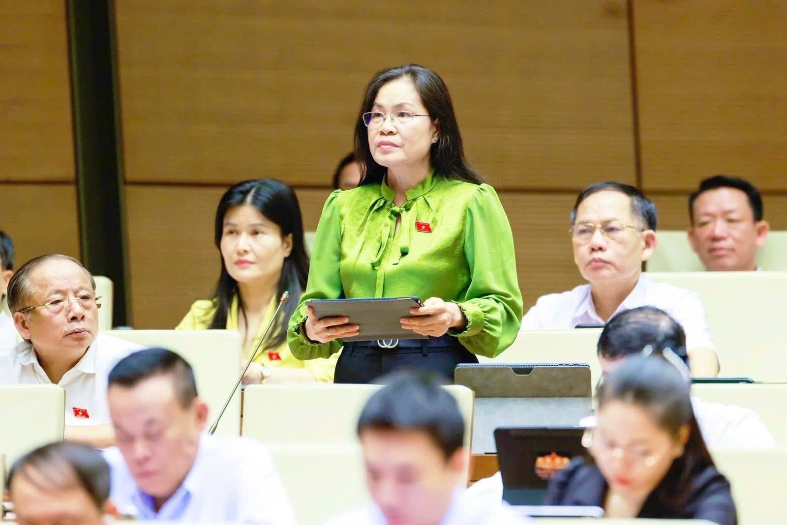 Đại biểu Quốc hội Nguyễn Thị Hồng Hạnh, Th&agrave;nh ủy vi&ecirc;n, Gi&aacute;m đốc Sở Tư ph&aacute;p TP.HCM, trao đổi với PV.