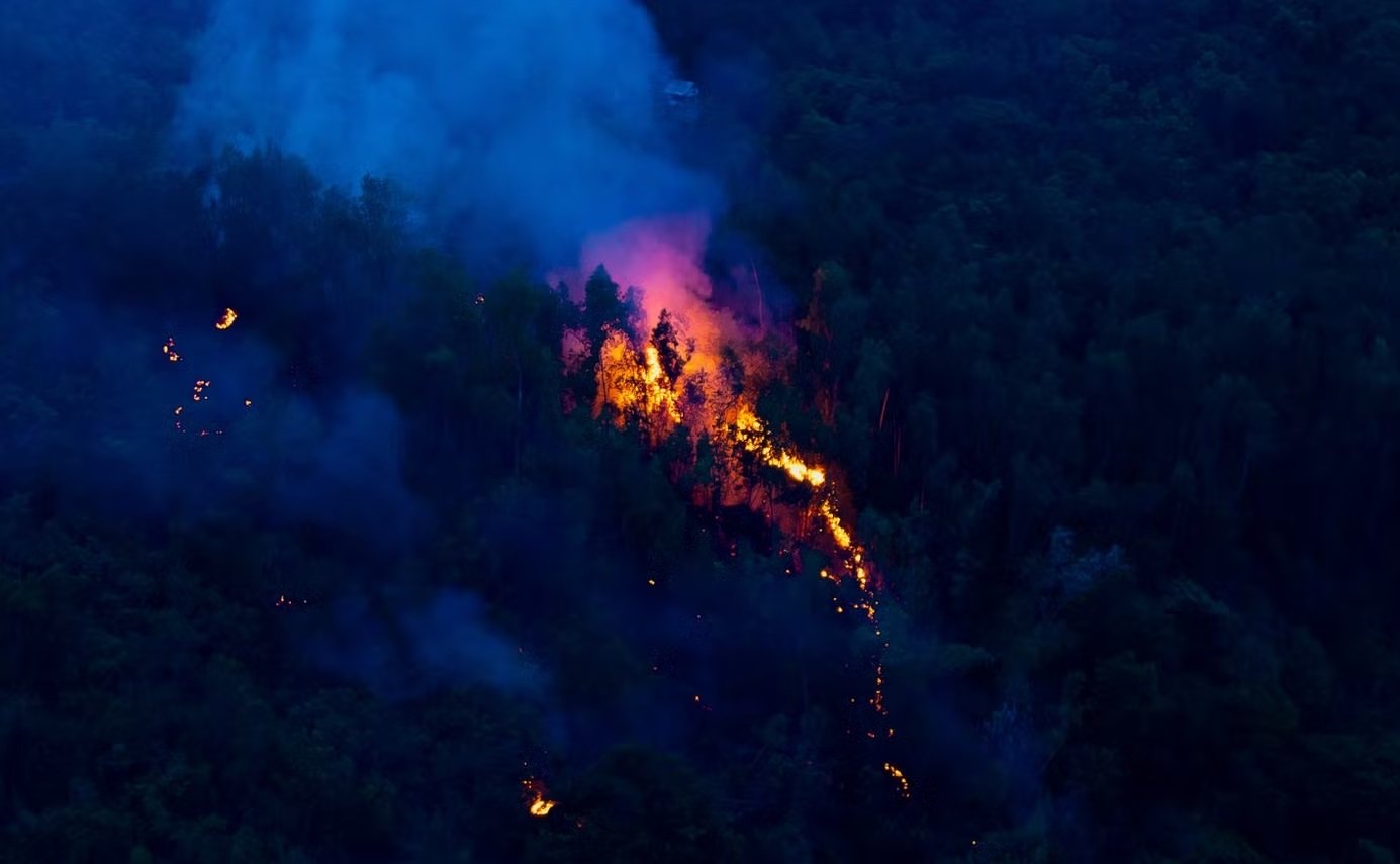 Khu vực rừng tr&ecirc;n n&uacute;i Vũng Chua xảy ra ch&aacute;y. (Ảnh: Đặng Hải)