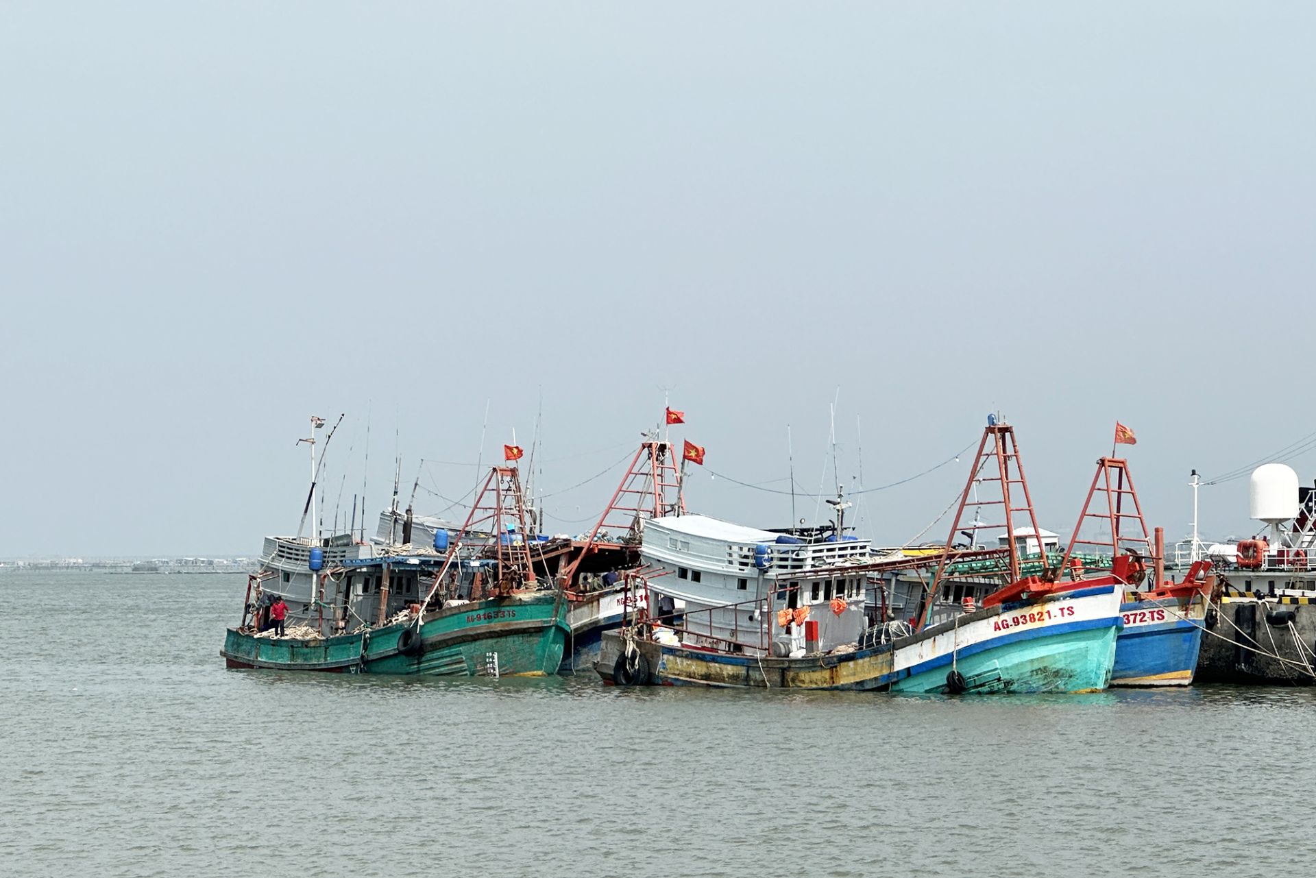 C&aacute;c t&agrave;u c&aacute; được đưa về cảng Hải đội 301, tại phường Phước Thắng Th&agrave;nh phố Hồ Ch&iacute; Minh để tiếp tục điều tra l&agrave;m r&otilde;
