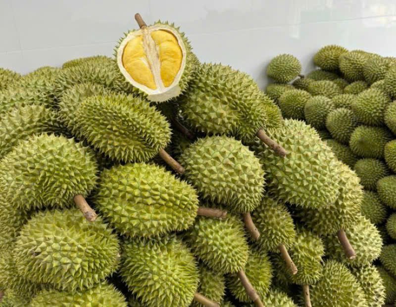 Gi&aacute; sầu ri&ecirc;ng h&ocirc;m nay 29/8: Sầu Th&aacute;i loại A cao nhất 80.000 đồng/kg
