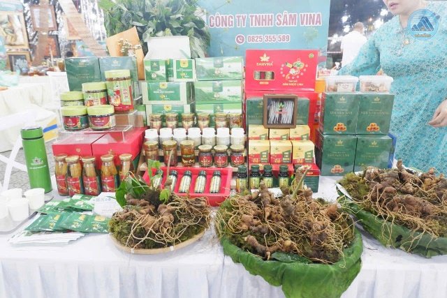 Kh&ocirc;ng gian giới thiệu, quảng b&aacute; S&acirc;m Ngọc Linh v&agrave; dược liệu tại khu vực đối diện Chợ đ&ecirc;m Sơn Tr&agrave;, phường An Hải, tối 28/8/2026. Nguồn: Cổng TTĐT th&agrave;nh phố Đ&agrave; Nẵng.