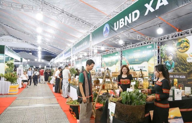 Kh&ocirc;ng gian trưng b&agrave;y, quảng b&aacute; v&agrave; trải nghiệm S&acirc;m Ngọc Linh tại phường An Hải được tổ chức với c&aacute;c khu vực giới thiệu sản phẩm, hướng dẫn nhận biết s&acirc;m thật - giả v&agrave; truy xuất nguồn gốc. Nguồn: UBND phường An Hải.