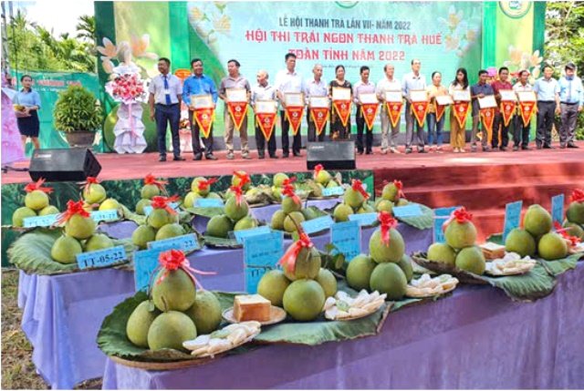 Quả Thanh tr&agrave; Huế được Cục Sở hữu tr&iacute; tuệ cấp Giấy chứng nhận đăng k&yacute; chỉ dẫn địa l&yacute; Nguồn: Cục Sở hữu tr&iacute; tuệ.
